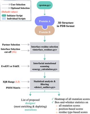 PROT-ON: A structure-based detection of designer PROTein interface MutatiONs